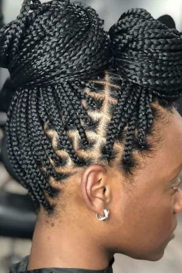 Box braids in two space buns, back view showing zigzag parts